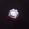 ZOMOPLUS Artisan Keycaps - Custom Xmas Edition Kitty Paw Keycap for Mechanical Keyboard 12