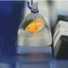Artisan Keycaps - Custom Goldfish in Plastic Bag Keycap for Mechanical Keyboard 2