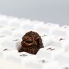 colorful-chinese-guardian-lion-keycaps-imitation-antiquebronze