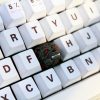 hellhound-keycap-background