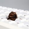 colorful-chinese-qilin-keycaps-imitation-antique-bronze