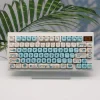 blueberry-party-keycap-set-front