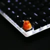 broken-shell-bone-dragon-cumquat-translucent-effect