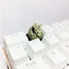 broken-shell-bone-dragon-keycaps-bone-white
