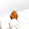 broken-shell-bone-dragon-keycaps-cumquat-translucent