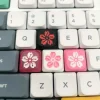 cherry-blossom-low-shaft-all-on-keyboard