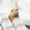 coffee-shop-series-capybara-keycaps-keyboardfront