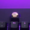 dota-2-aegis-of-champions-middle-view