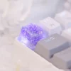 dream-series-keycaps-side2