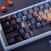 four-heavenly-kings-keycap-set-colorful4
