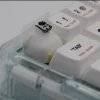 ma-zhao-seagull-keycaps-with-glasses