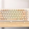 natural-wood-series-full-set-keycaps-beech1