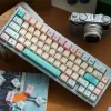 pixel-style-electronic-pet-keycap-set-display