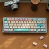 pixel-style-electronic-pet-keycap-set-front