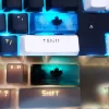 r6-siege-black-ice-enter-key-cover