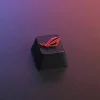 republic-of-gamers-rog-logo-cover