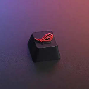 republic-of-gamers-rog-logo-cover
