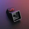 republic-of-gamers-rog-logo-downdetails