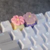 sakura-series-keycaps-cover