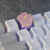 sakura-series-keycaps-front