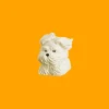 scruffy-puppy-keycaps-white