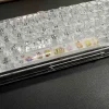 spongebob-squarepants-cute-characters-transparent-spacekey-keycap