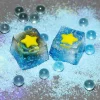 stargazing-at-moon-bay-keycap-cover