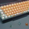 translucent-fresh-orange-keycap-set-greenorange4