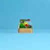 legend-of-zelda-korok-seed-keycap-front2