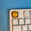repaying-gratitude-durian-keycap-front