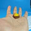 repaying-gratitude-durian-keycap-front3