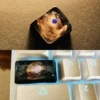 roaming-earth-keycaps-cover