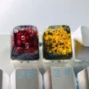 translucent-coral-keycaps-front