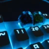 translucent-coral-keycaps-side