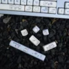 band-puppy-moa-keycap-set-upfront3
