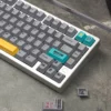 biopharmaceutical-restricted-area-oem-keycap-set-right