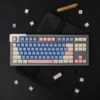 blue-flamingo-sa-keycap-set-cover