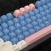 blue-flamingo-sa-keycap-set-front