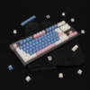 blue-flamingo-sa-keycap-set-side