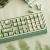 bringing-spring-keycap-set-oem