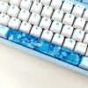 deep-ocean-jellyfish-seaweed-transparent-keycaps-front