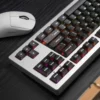 earlysc-latesa-oem-keycap-set-side4