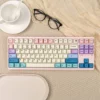 fairy-themed-oem-keycap-set-cover