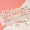 fragrant-little-pig-moa-keycap-set-side2