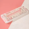 fragrant-little-pig-moa-keycap-set-side3