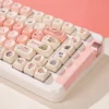 fragrant-little-pig-moa-keycap-set-side4