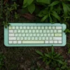 ginkgo-leaf-oem-keycap-set-cover