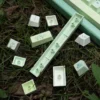 ginkgo-leaf-oem-keycap-set-upfront3