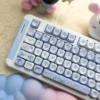 hamster-baby-moa-keycap-set-cover