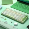 little-frog-mot-keycap-set-side
